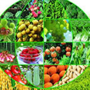 Agricultural testing